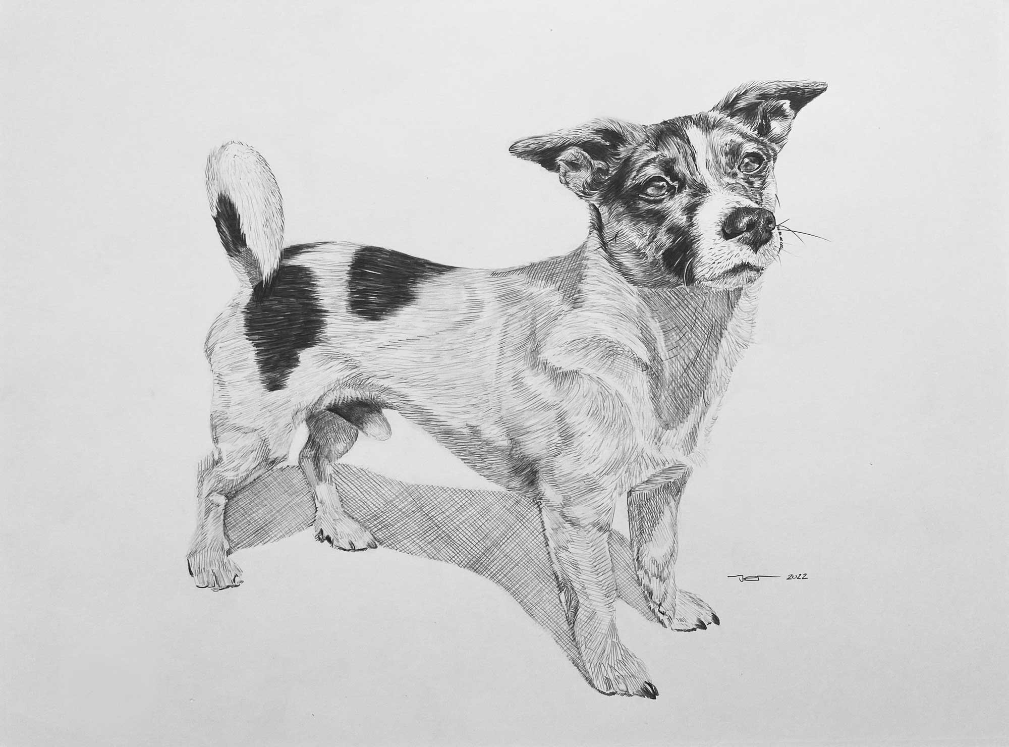 Portrettekening van huisdier