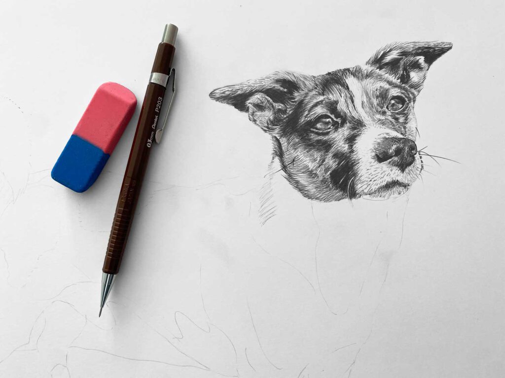 Proces van portrettekening hond